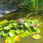De Tourisme Du Domaine Piscine Balnéo Lescout