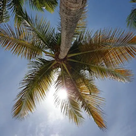 De Tourisme Du Domaine Piscine Balneo