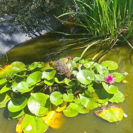 De Tourisme Du Domaine Piscine Balneo Lescout