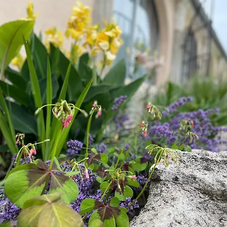 De Tourisme Du Domaine Piscine Balneo Aparthotel Lescout