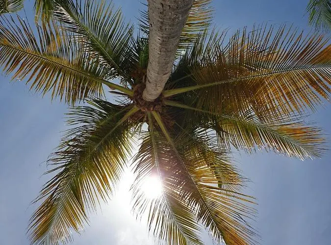 De Tourisme Du Domaine Piscine Balneo
