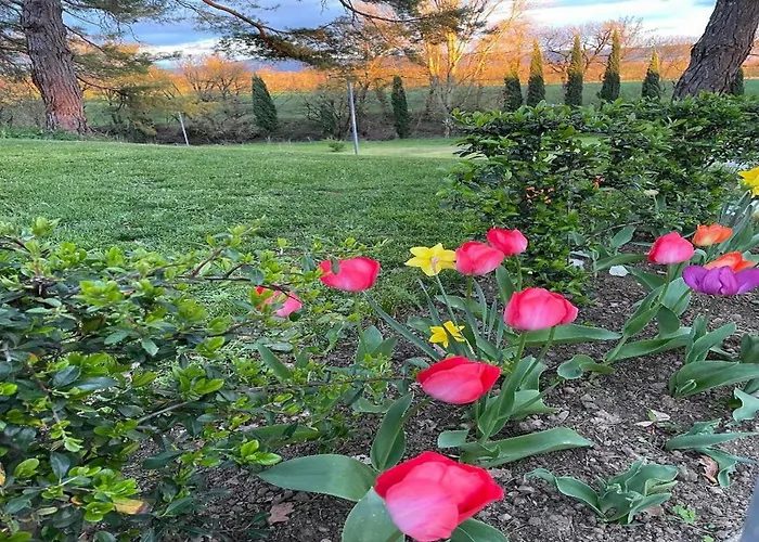 Aparthotel De Tourisme Du Domaine Piscine Balneo Lescout