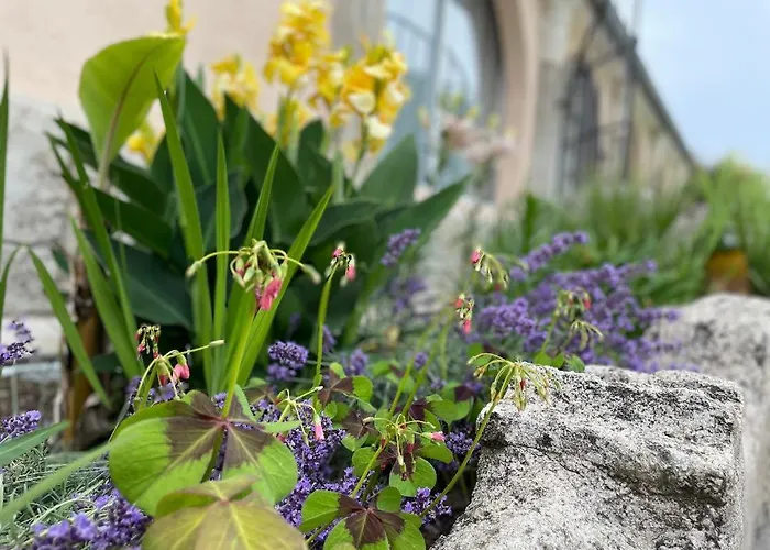 De Tourisme Du Domaine Piscine Balneo Aparthotel Lescout